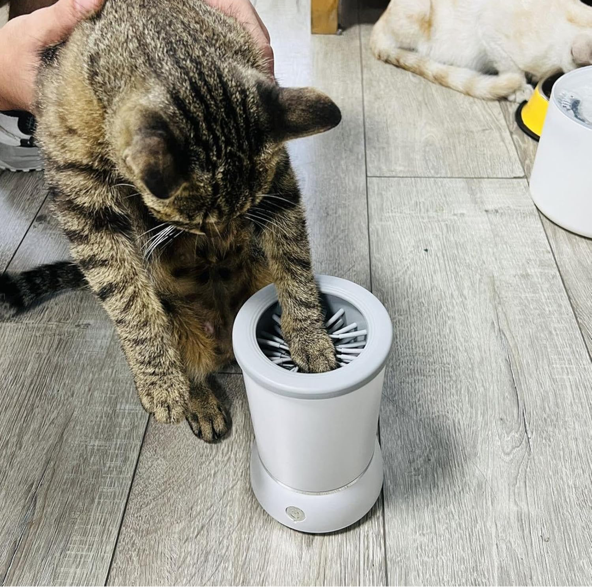 AUTOMATIC PAW CLEANER