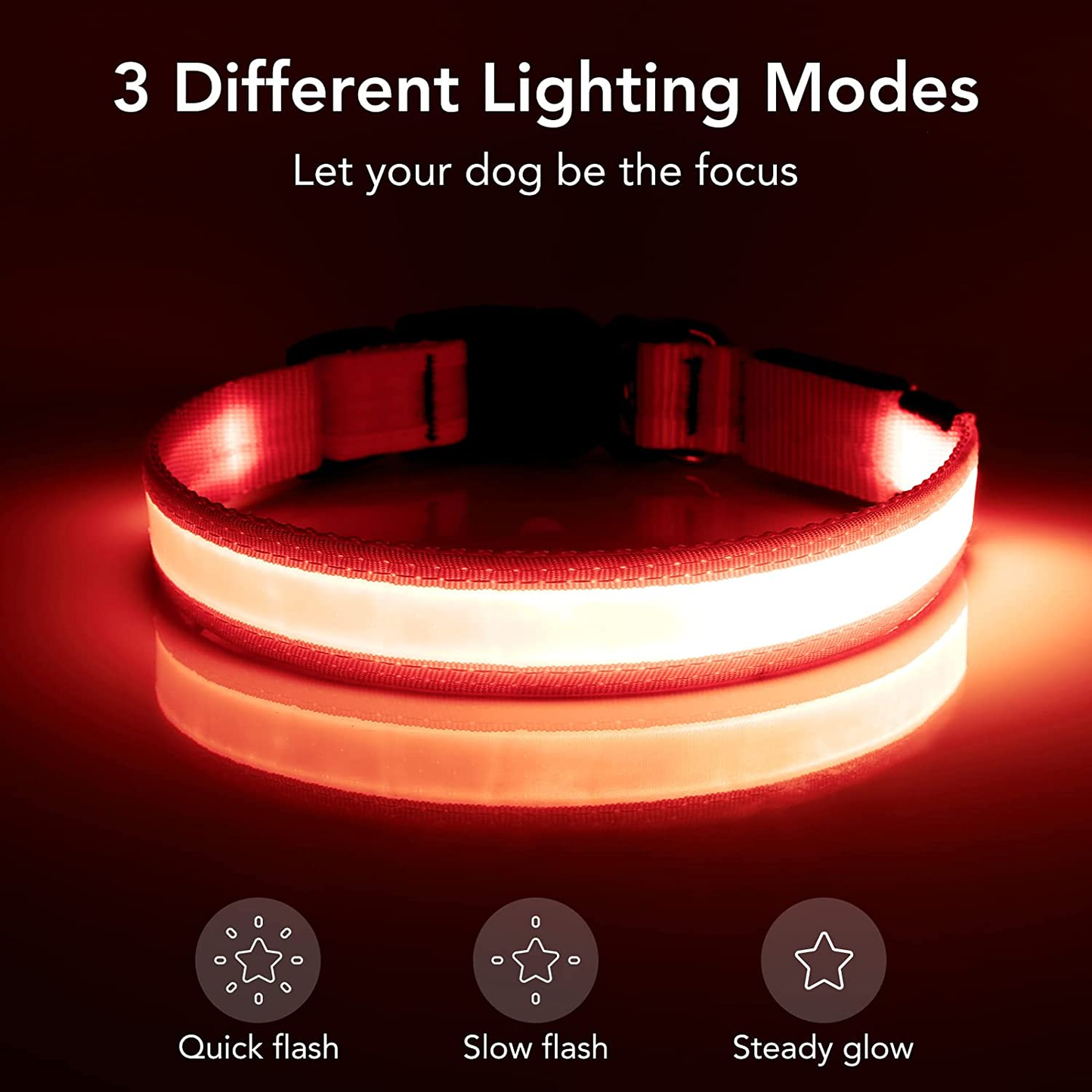 LED COLLAR