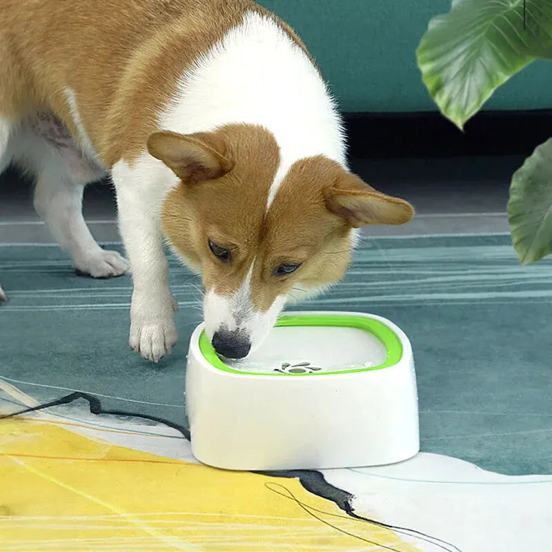 ANTI-WET BOWL