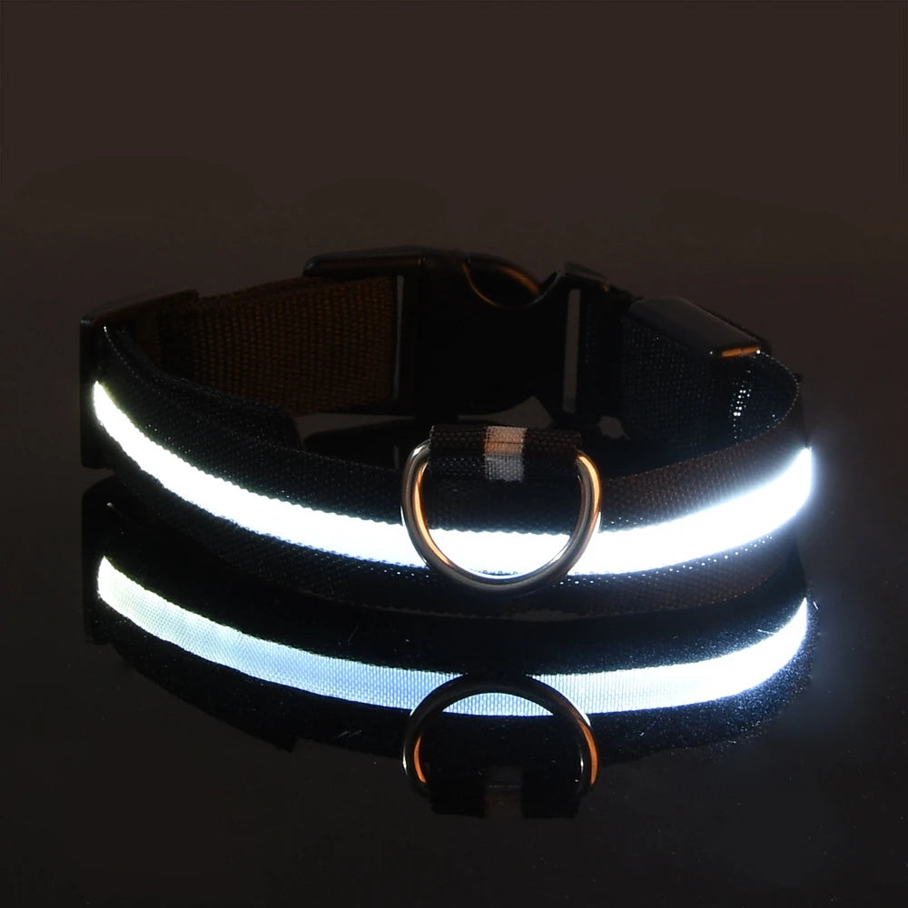 LED COLLAR