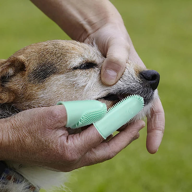 FINGER TOOTHBRUSH