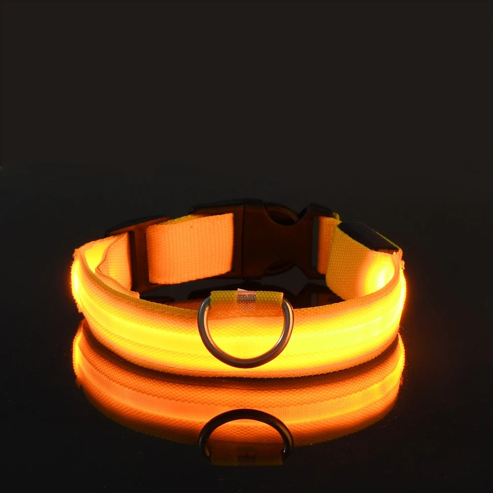 LED COLLAR