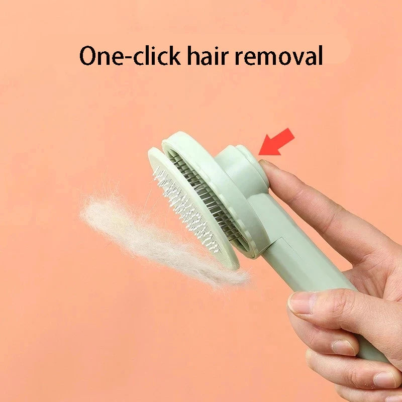 HAIR REMOVER BRUSH