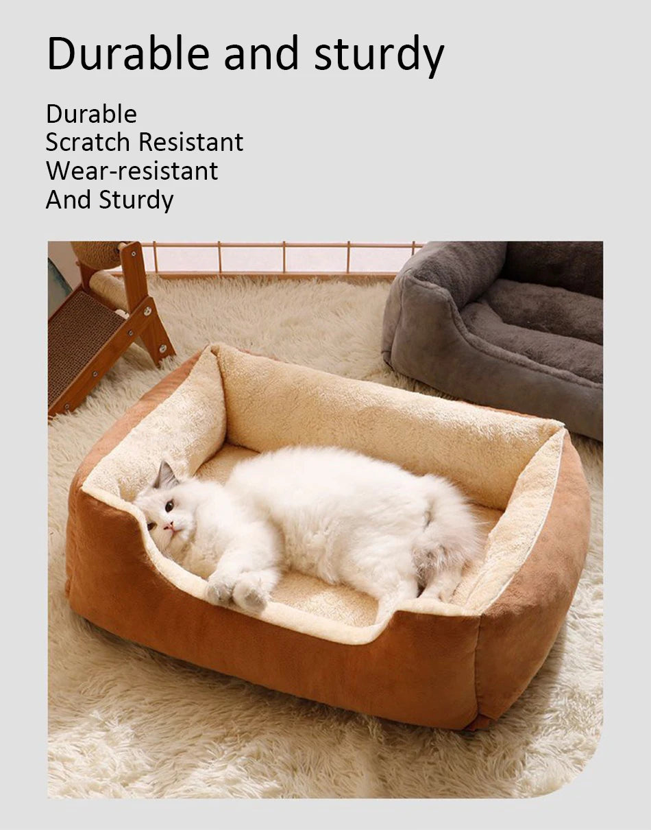 DOG BED