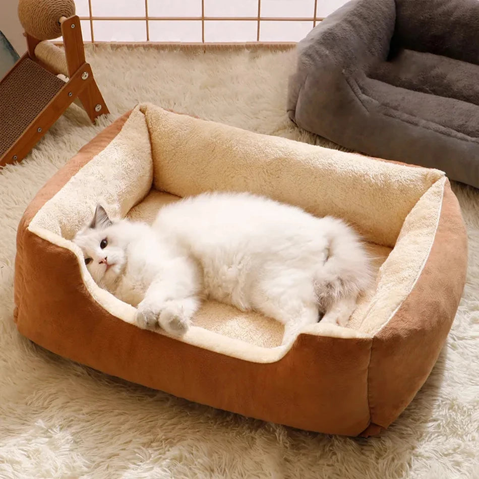 DOG BED