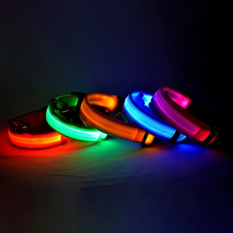 LED COLLAR