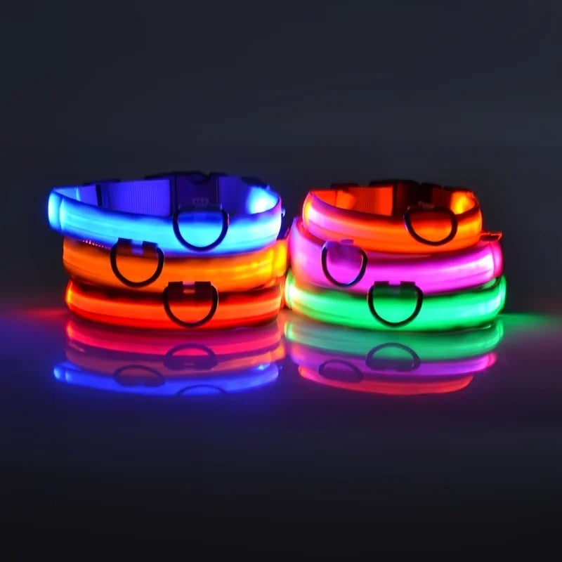 LED COLLAR