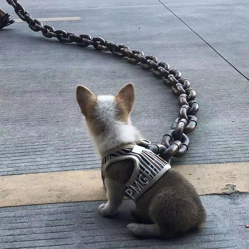 DOG CHAIN