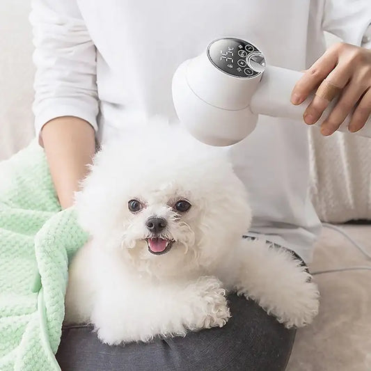 Hair Dryer