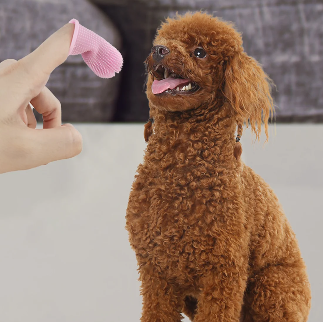 SINGLE FINGER TOOTHBRUSH