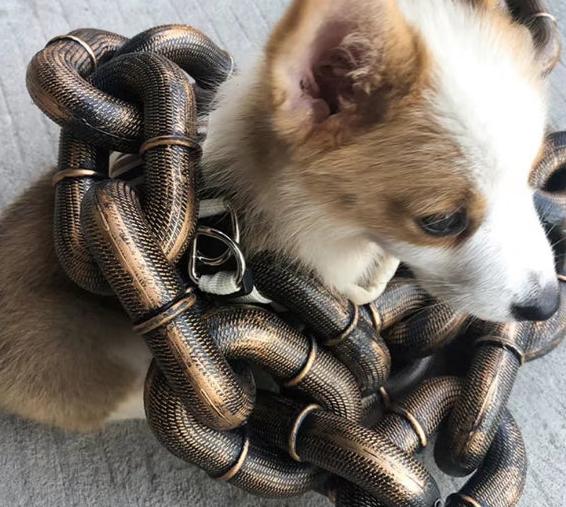 DOG CHAIN