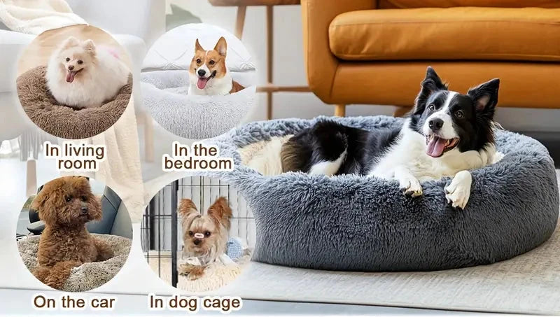 COZY DOG HOUSE